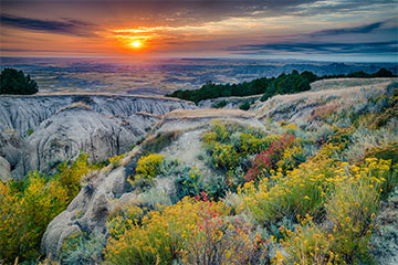 A field at sunset in South Dakota